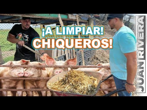 🥴 ¡Nos pusieron A LIMPIAR CHIQUEROS!  🐖 | Juan Rivera y Al3Gandro Rivera