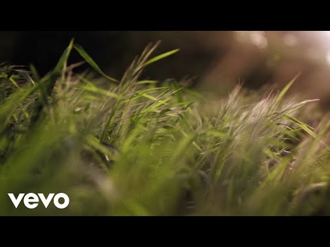 Daleka Obala - Poljoprivredno Ljubavna