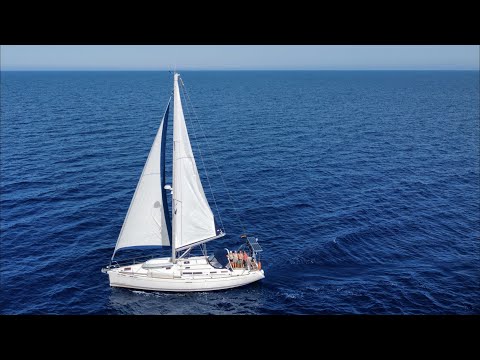 Sailing Sea Pearl - Delfine im Überfluss - Ep008
