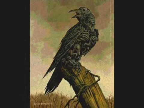 Teaspoonriverneck - Crow In The road
