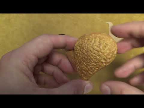 Pipa Viprati rusticata Naturale - Heart - VI227