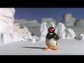 Dancing Pingu Episode 126 Belfast By Boney M