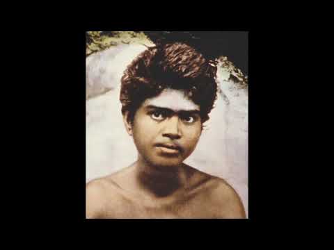 North Carolina Satsang -  Bhagavan Sri Ramana Maharishi's 142nd Jayanthi Celebrations