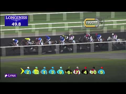 Race 4 -  Gloria De Campeao