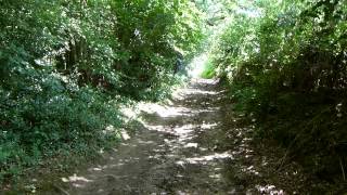 preview picture of video 'The Serpent Trail: Petworth to Fittleworth 30 July 2014'