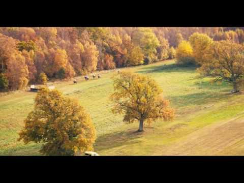 St Eriks Pris Blommeröd 2016