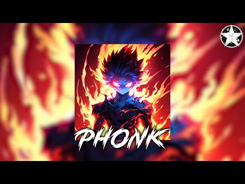 Brazilian Phonk Mix 2025 ※ Best Baile Funk ※ Tik Tok Viral Phonk Music Mix #728