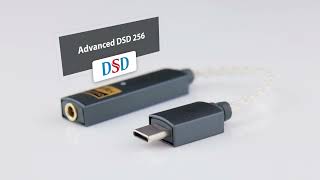 iFi audio GO link (정품)_동영상_이미지
