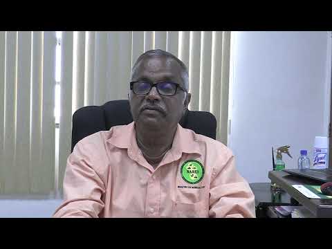 [TEMP] Mangrove Restoration Techniques