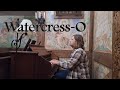 Watercress-O, an English folk song, played on a 120-year-old pump organ