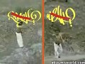 Weng Weng Filipino 007