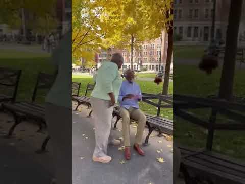 “Lulu salon wig”  #funny