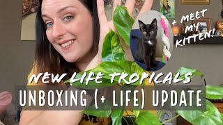 Life + Plant Updates | New Life Tropicals Order + KITTEN!