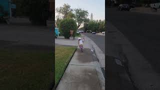 Sadie got her training wheels taken off this week! she&#39;s a pro already!