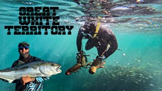 Fishing & Diving | This Place Has Everything