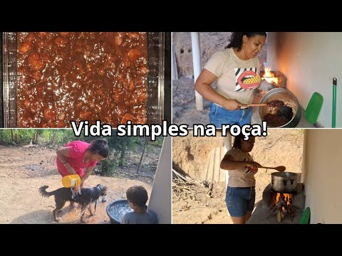 Dando banho no meu cachorro bily + Fiz um tradicional doce de banana no fogão a lenha caipira 