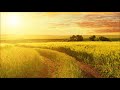 The Innocence Mission -   You Are the Light