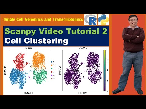 Scanpy Video Tutorials--Video 2: Cell Clustering