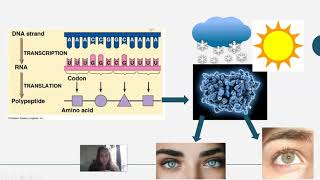 Gene Expression and Environmental Factors