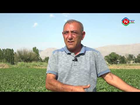 Nuhçıxan Naxçıvan - 28.08.2022