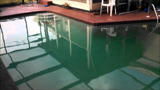Pool Water Green With Algae-Or Something Else?