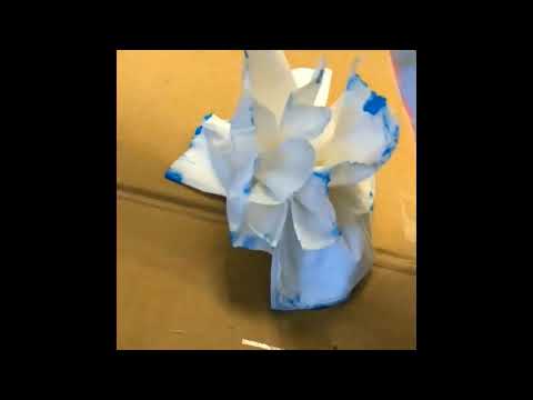 DIY Tissue Flowers | With Abishan | Kids