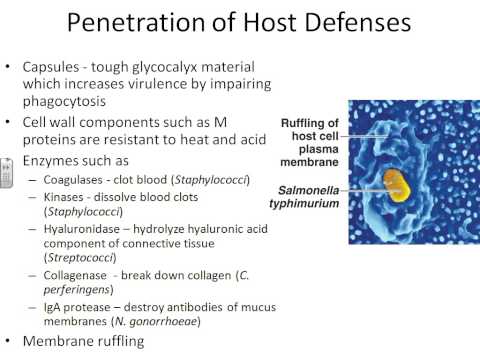 Dr. Parker Microbiology chapter 15