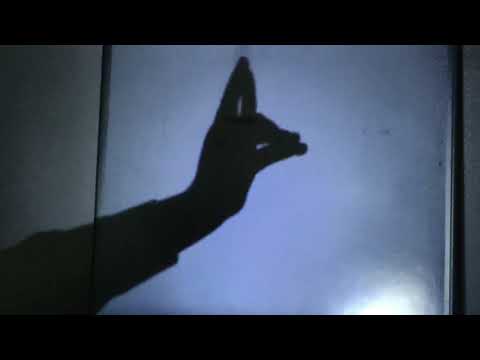 Hand shadow Performance III Make Animals By Hand shadow - Shadowgraphy - shadoes