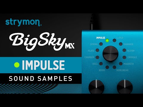 Strymon BigSky MX Reverb 2024 - Present - Blue image 4