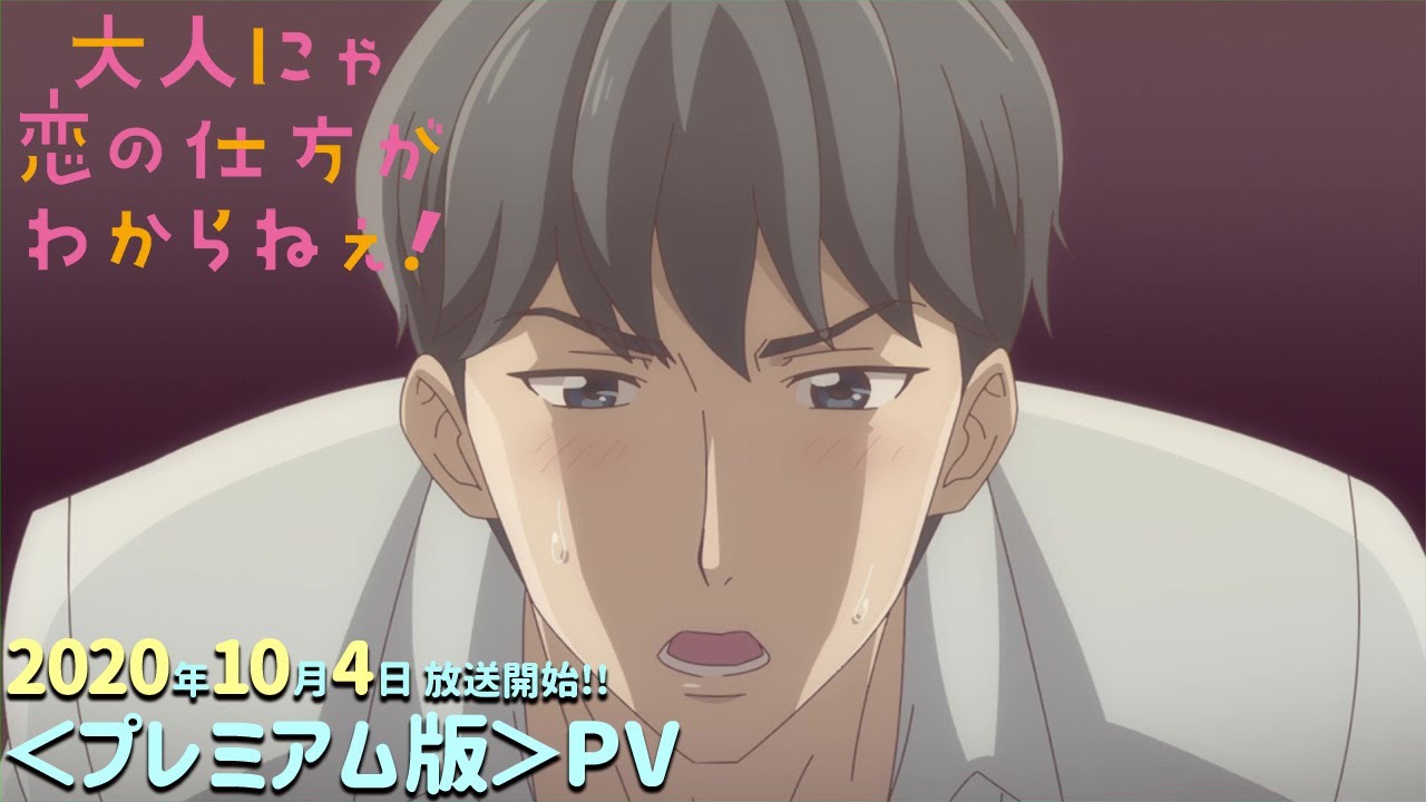 Otona Nya Koi No Shikata Ga Wakaranee