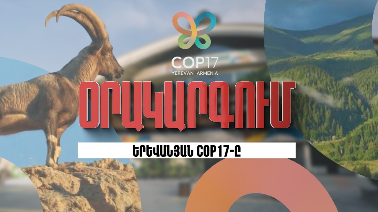 Օրակարգում՝ Երևանյան COP17-ն է