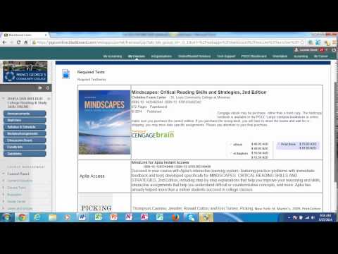 Dvr0061 Online Blackboard Overview