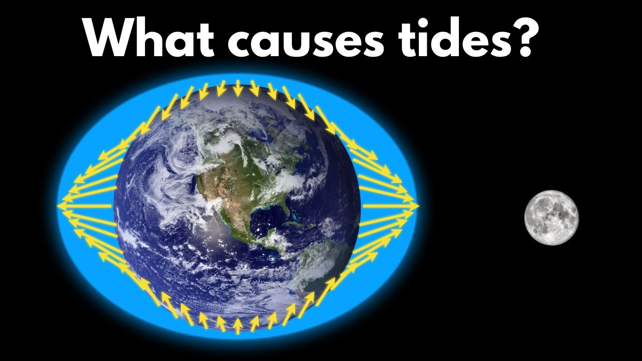 The tides | Middle school Earth and space science | Khan Academy