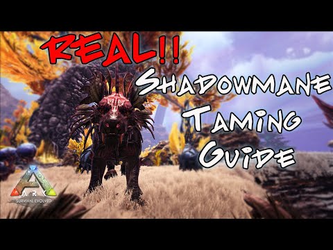 REAL Shadowmane Taming Guide / Trap!! Ark Genesis 2 ( IF OTHER VIDEOS FAIL WATCH ME)