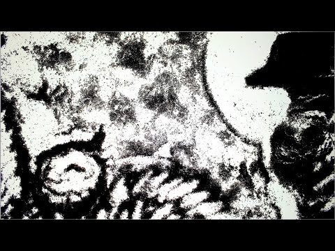 raven love (Music: Florian Horwath)