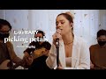 Sassa Dagdag Picking Petals Live Performance