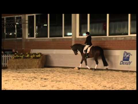 Lemony's Nicket in Neuenkirchen