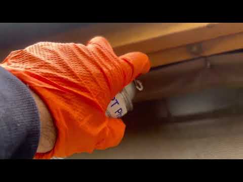 Carpenter Bees Starting to Bore Into Pergola in Atlantic Highlands, NJ