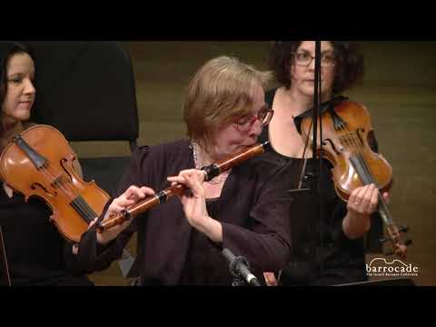 Telemann concerto for Flute, Recorder and strings in e minor