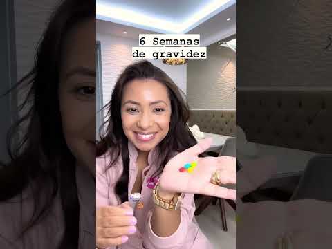6 Semanas de gravidez