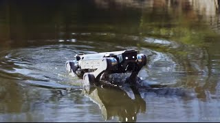🤖 #Genisomai M1 Launched: First All-Terrain Amphibious Heavy-Duty Bot! #robotics #robotdog #ai