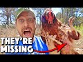 Chickens Molting Or Something Else 9 REASONS Chickens LOSE Feathers And What To Do About It