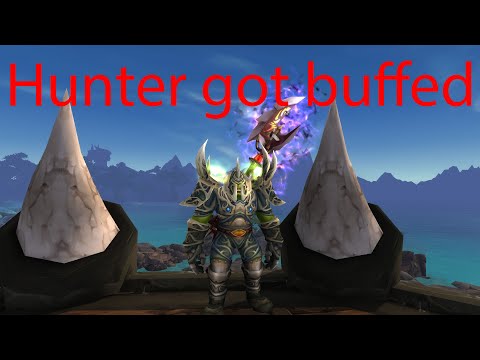 Hunter got buffed - Beast mastery hunter pvp - Shadowlands 9.1