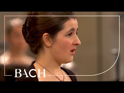 Bach - Es ist vollbracht uit Johannes-Passion BWV 245 - Van Veldhoven | Nederlandse Bachvereniging