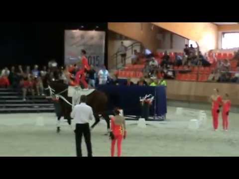 MS Junior Vaulting 2015 Ermelo