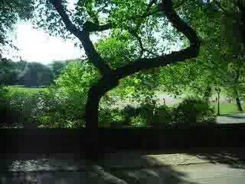 A Tribute to New York City