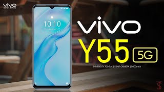 Vivo Y55 5G Price Official Look Design Specificati