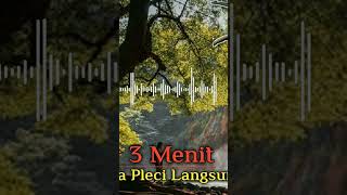 Download lagu TERAPI PLECI OMBYOKAN‼️Suara Pleci Koloni Bikin Buka Paruh #shorts mp3 Download lagu TERAPI PLECI OMBYOKAN‼️Suara Pleci Koloni Bikin Buka Paruh #shorts mp3