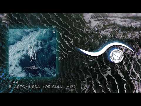 PREMIERE: SIAAH - Blastomussa (Original Mix) [Techno Tehran Records]