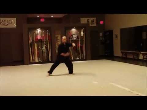 Best Martial Arts Classes in Plano,Snake Kung Fu (Southern Shaolin Style)